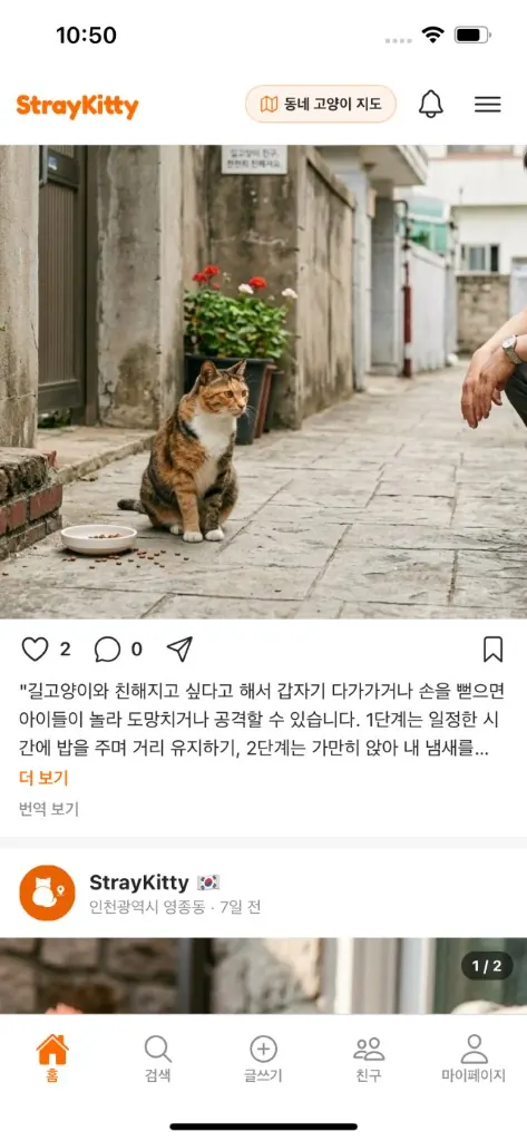 StrayKitty 앱 피드 화면: 길고양이 사진과 게시글이 보이는 모바일 인터페이스